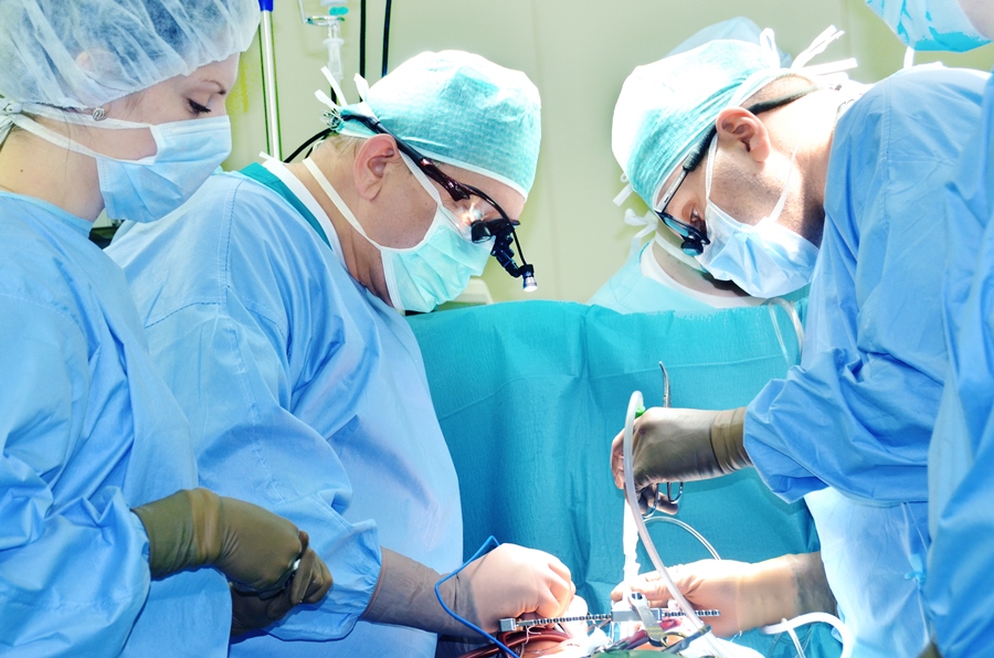 DSC_1924_ - копия.jpg DSC_1924_ - копия.jpg